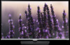 TV Samsung UE-22H5000