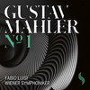 VINIL ProJect Wiener Symphoniker: Mahler 1 < RESIGILAT >