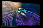 Televizor  OLED Sony XR-65A90J