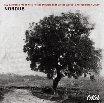 VINIL Universal Records Sly & Robbie Meet Nils Petter Molvaer - Nordub