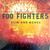 VINIL Universal Records Foo Fighters - Skin And Bones