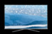 TV Samsung 55KU6402 Open Box
