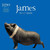 VINIL Universal Records James - Millionaires