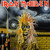 VINIL Universal Records Iron Maiden
