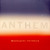 VINIL Universal Records Madeleine Peyroux - Anthem