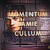 VINIL Universal Records Jamie Cullum - Momentum