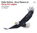 CD ACT Kalle Kalima - Knut Reiersrud: Flying Like Eagles