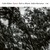 CD ECM Records Colin Vallon Trio: Danse