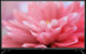 TV LG 42LB5500
