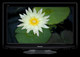 TV Panasonic TX-L32C2E