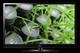 TV LG 50PK550