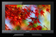 TV Sony KDL-40EX402