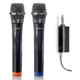  Set 2 microfoane wireless Lenco MCW-020