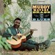 VINIL CHESS RECORDS Muddy Waters - Muddy, Brass & The Blues