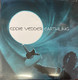 VINIL Universal Records Eddie Vedder - Earthling