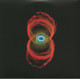 VINIL SONY MUSIC Pearl Jam - Binaural