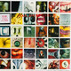 VINIL SONY MUSIC Pearl Jam - No Code, Remastered, EU version