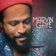 VINIL Universal Records Marvin Gaye - Collected (180g Audiophile Pressing)