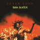 VINIL Universal Records Peter Tosh - Bush Doctor (180g Audiophile Pressing)