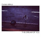 VINIL UNIVERSAL RECORDS Diana Krall - This Dream Of You