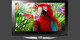TV LG 42PG6000