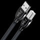 Cablu Audioquest Carbon USB A <> B Plug