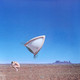VINIL UNIVERSAL RECORDS The Cranberries - Bury The Hatchet