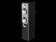 Boxe Infinity Primus 250