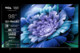 TV TCL 98C61K