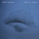VINIL WARNER MUSIC Matteo Myderwyk - Notes Of Longing