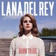 VINIL UNIVERSAL RECORDS Lana Del Rey - Born To Die