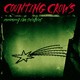 VINIL Universal Records Counting Crows - Recovering The Satellites