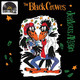 VINIL Universal Records Black Crowes - Jealous Again