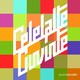 CD Electrecord Celelalte Cuvinte