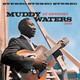 VINIL CHESS RECORDS Muddy Waters At Newport 1960