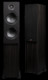Boxe PSB Speakers Alpha T20