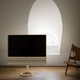  Beovision Contour 48