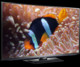 TV LG 50PA6500