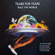 VINIL Universal Records Tears For Fears - Rule The World ( Greatest Hits )