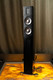 Boxe Raidho X2t Black high gloss Resigilat