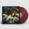 VINIL Universal Records Florence + The Machine - Lungs