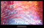 TV Samsung Neo QLED, 8K Smart 65QN700B, HDR, 163 cm