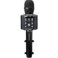 Microfon Lenco Microfon Karaoke BMC-090 Resigilat