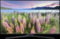 TV Samsung 60J6200