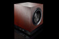 Subwoofer Bowers & Wilkins DB2D