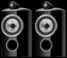 Boxe Bowers & Wilkins 805 D4