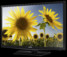 TV Samsung UE-28H4000