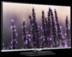 TV Samsung UE-22H5000