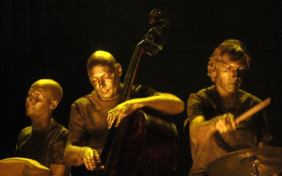 Image result for esbjorn svensson trio