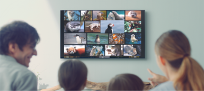 Imagine cu XF80| LED | Ultra HD 4K | Interval dinamic ridicat (HDR) | Televizor inteligent (Android TV)